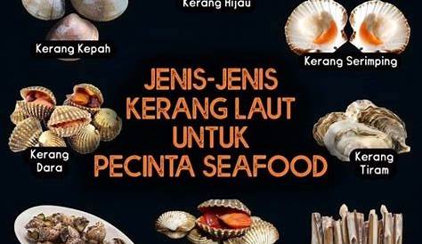 6 Jenis Kerang-kerangan Laut Lezat yang Ada di Kepulauan Riau