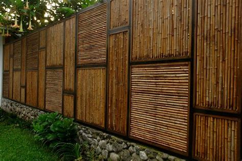 jenis bambu untuk pagar rumah - Austin North