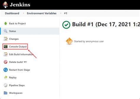 Jenkins Check If Env Variable Exists
