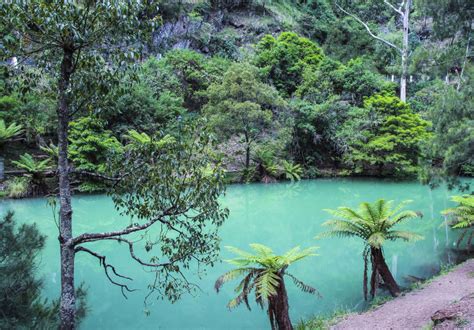 jenolan caves caravan park