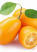 jeruk nagami dan kesehatan