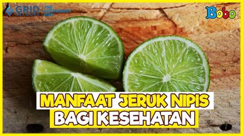 Jeruk Nipis - Pencernaan