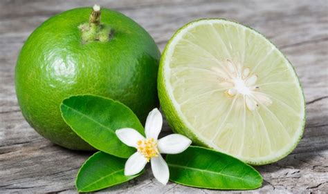 Jeruk Nipis - Vitamin C