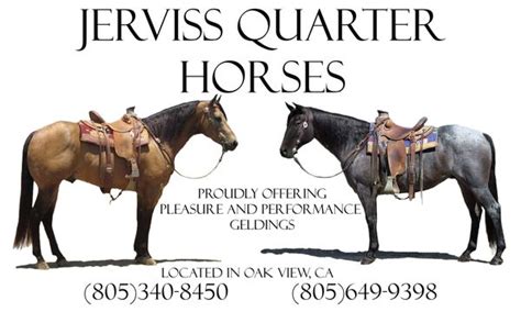 jerviss quarter horses ca