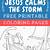 jesus calms the storm free printables