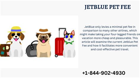 Jetblue Pet Fee