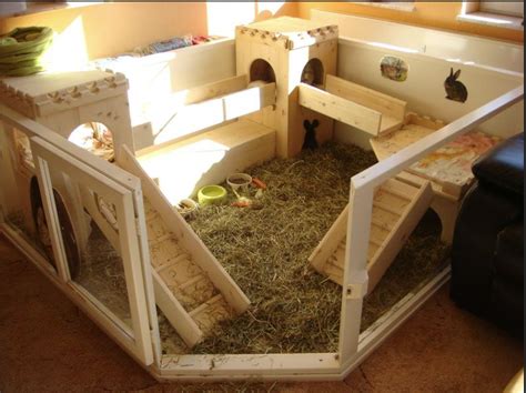 Jeux lapin Comment créer une aire de jeux pour mon lapin nain