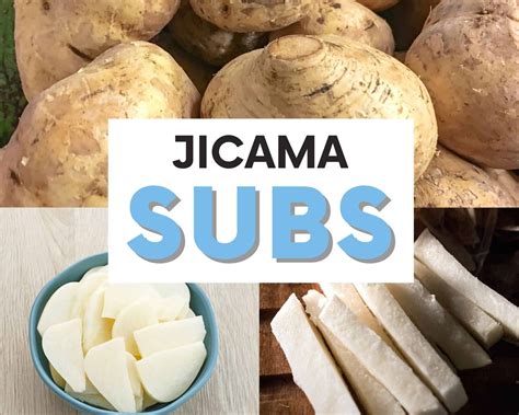 Jicama Replacement