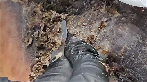 Jigger Digging David