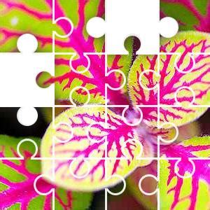 Jigzone Puzzles 2020