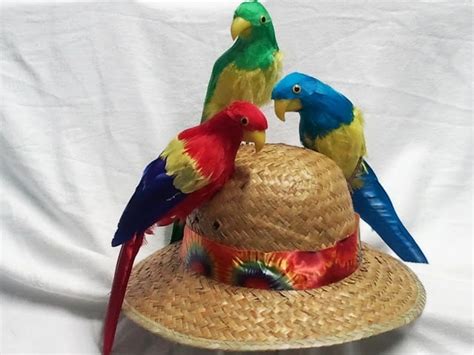 JIMMY BUFFETT MARGARITAVILLE Parrot Head Hat