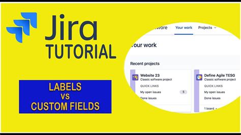 Jira Labels Vs Fields