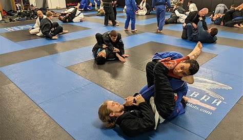Des Moines Jiu-Jitsu Academy