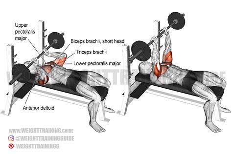 jm press exercise