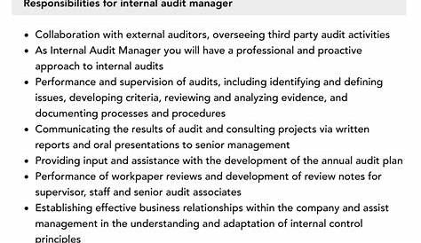 Internal Audit Associate Job Description | Velvet Jobs