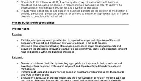 Auditor Job Description Example - 11+ Free PDF Documents Download