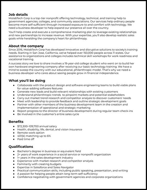 Job Description Template Business Developer