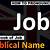 jobs available in rotorua pronunciation apphia in the bible