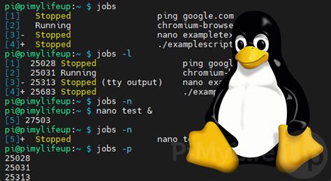 jobs + - linux