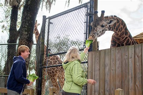 jobs at the central florida zoo