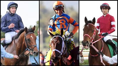 Unveiling the Secrets of Expert Jock Breeders: A Comprehensive Guide