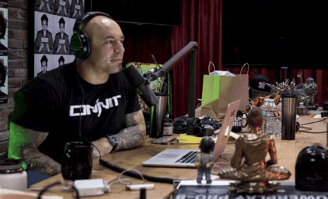 joe rogan podcast newest