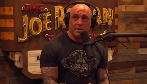 joe rogan recent interviews