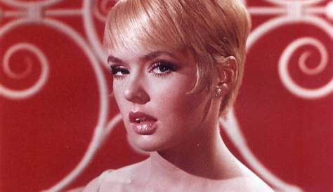 Joey Heatherton: Uncovering Hidden Gems And Profound Insights