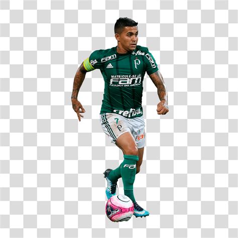 jogadores do palmeiras png