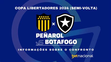 jogo do botafogo placar ao vivo