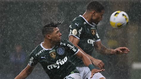 jogo entre palmeiras e botafogo