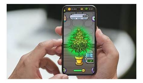 Jogos para Maconheiros | Cannabis New Amino