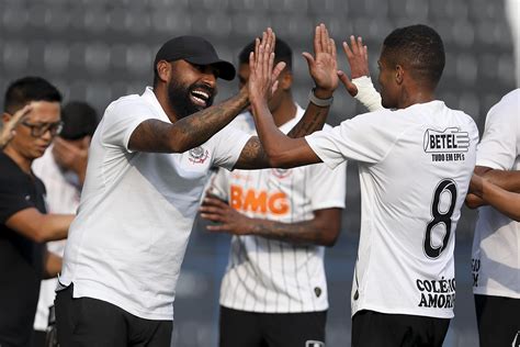 jogou no botafogo e corinthians