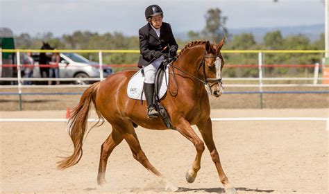 John Brooks Horse Trainer
