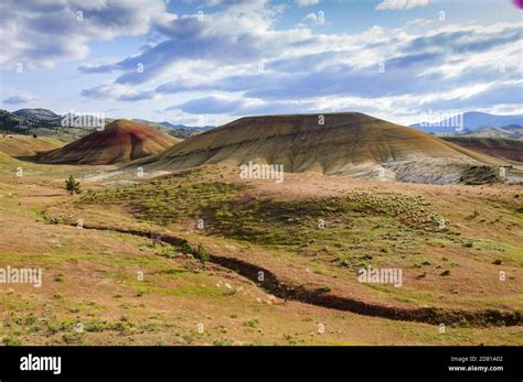 John Day Fossil Beds Open