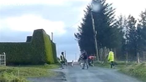 +25 John Fleming Dogs Psni More