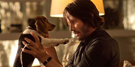 john wick killed his dog