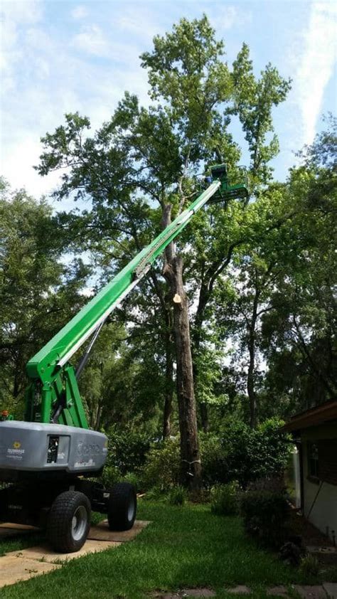 johnson and sons tree service