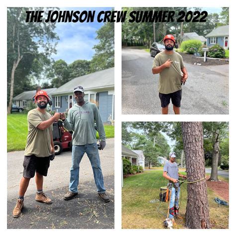 johnson tree services llc