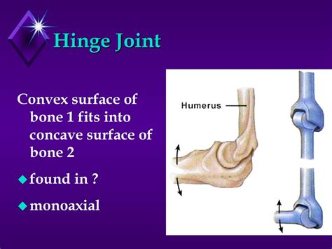 Joint Convex Function