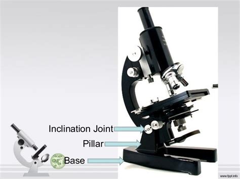 Joint Function Microscope