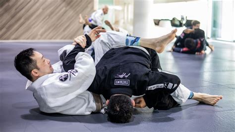 Joint Lock Bjj
