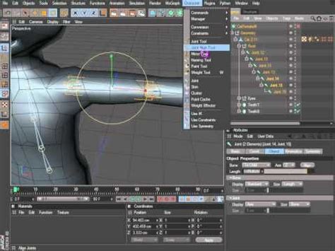 Joint Tool In C4D