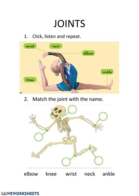 joints worksheets | Worksheets, Science, Science images