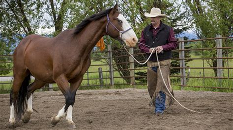 Jon Ensign Horsemanship