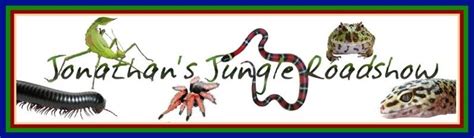 Jonathan Jungle Roadshow: Unveiling Hidden Gems Along the Trail