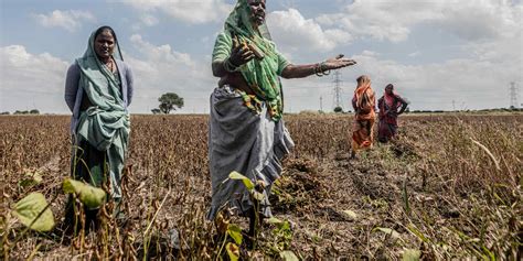 jones erome mackenzie