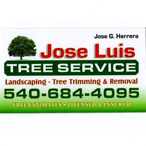 jose luis tree service