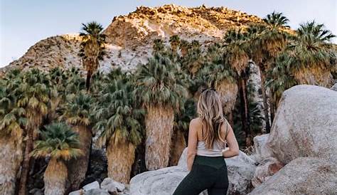 Day Trip to Joshua Tree From Palm Springs - East Coast Mermaid