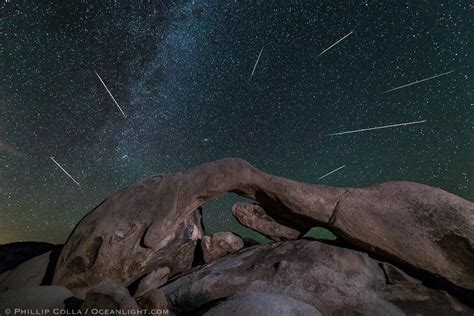 joshua tree meteor shower